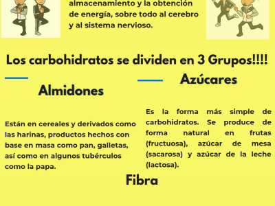 Que son los Carbohidratos